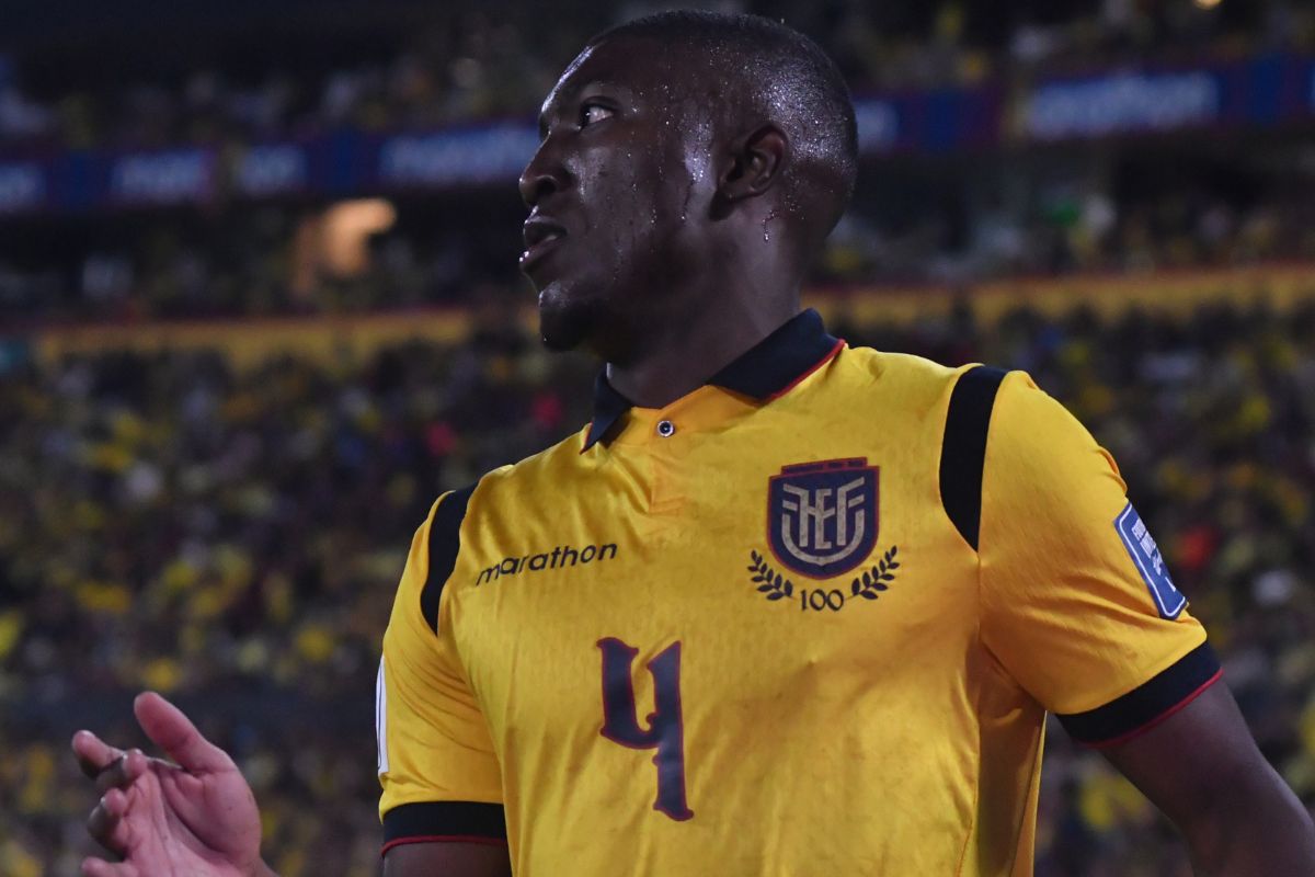 Ecuador confirma horarios y estadios para sus amistosos ante Marruecos y Países Bajos